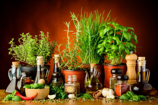 Discovering the Magic of Herbs and Spices